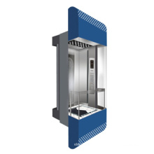 1000kg, 1250kg, 1350kg Capacitycommercial Panoramic Lift